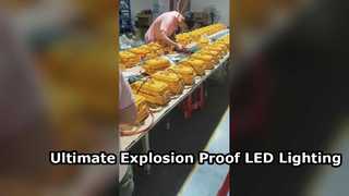 نورافکن LED ضدآب دارای تاییدیه IP65 ATEX با شیشه سکوریت برای مناطق خطرناک