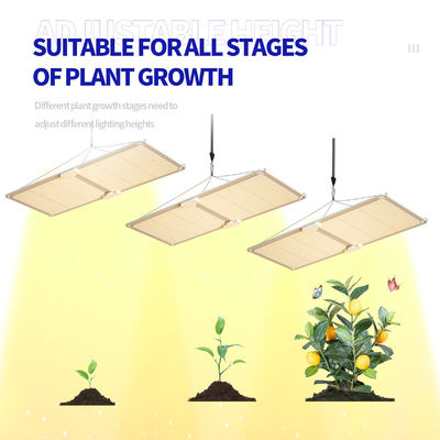 چراغ رشد LED با طیف کامل 200 وات، قابل تنظیم نور، سیستم روشنایی گلخانه T5 برای رشد گیاه