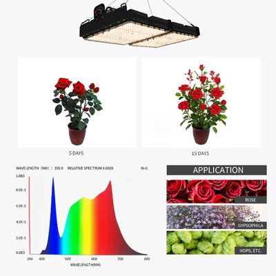 خواندن PPFD برای چراغ های رشد LED برای گیاهان آپارتمانی طیف NR