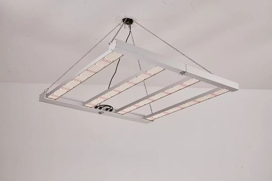 چراغ رشد LED تاشو 4T با توان 600 وات و 800 وات برای مصارف تجاری