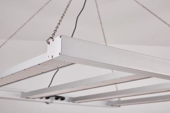 800W طیف کامل نور رشد LED با IP65 ضد آب برای رشد گیاهان تجاری