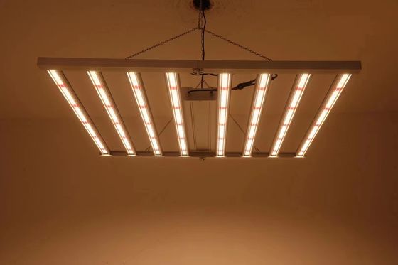800W طیف کامل نور رشد LED با IP65 ضد آب برای رشد گیاهان تجاری