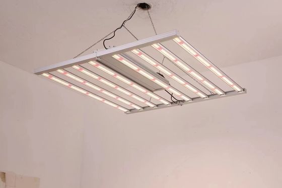 800W طیف کامل نور رشد LED با IP65 ضد آب برای رشد گیاهان تجاری