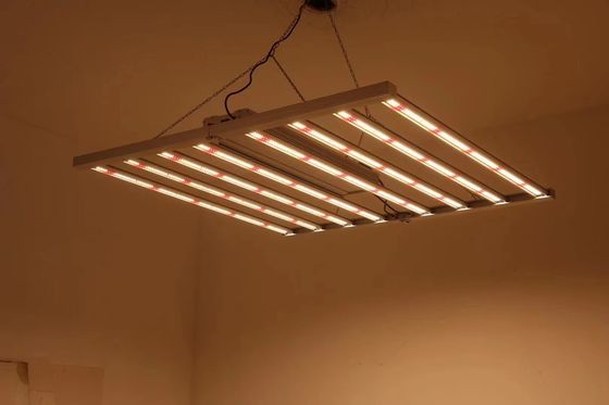 800W طیف کامل نور رشد LED با IP65 ضد آب برای رشد گیاهان تجاری