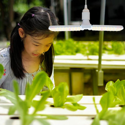 چراغ رشد LED جمع و جور با طیف کامل + 660 نانومتر و ضد آب IP68 برای رشد گیاهان داخلی