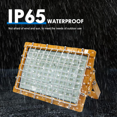 SMD2835/3030 100-110lm/W روشنایی ضد انفجار LED برای کارخانه ها