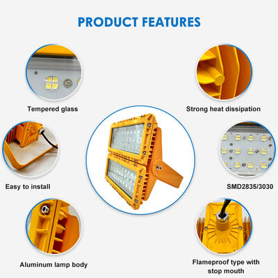 600W LED Explosion Proof Flood Light 60° Offshore FPSO Platform ATEX IIB T6 IP65 RFEPL8280 Lighting