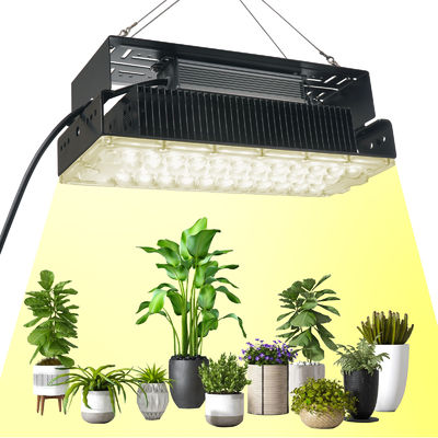 100w داخلی 5x5 رشد نور برای باغ داخلی گیاهان خوشمزه SMD3030